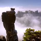 wehlnadel im nebel