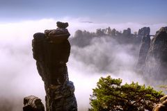 wehlnadel im nebel