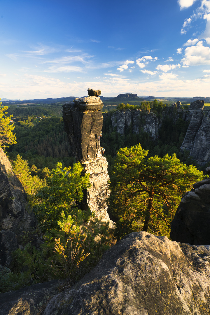 Wehlnadel vor Abendhimmel