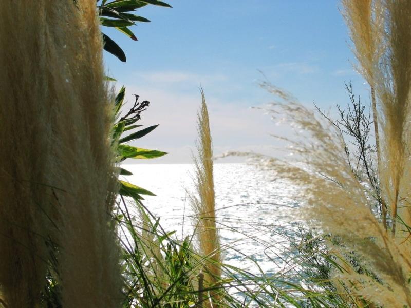 Wehmütiger Blick aufs Meer