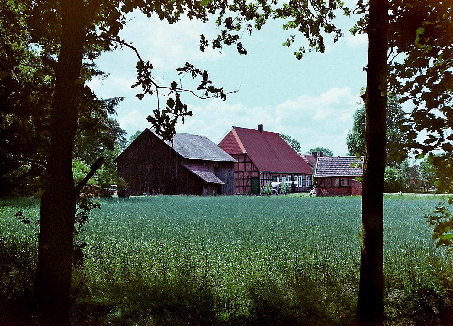 Wehningen - Haus am Wald