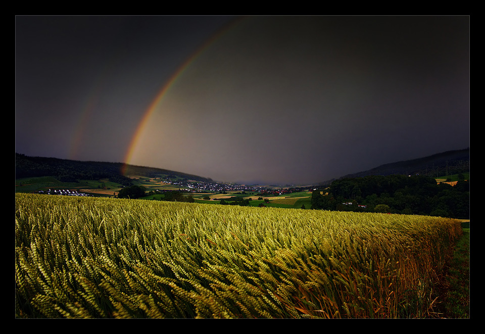 Wehntalgewitter II - besser so, Ellen?