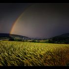 Wehntalgewitter II - besser so, Ellen?