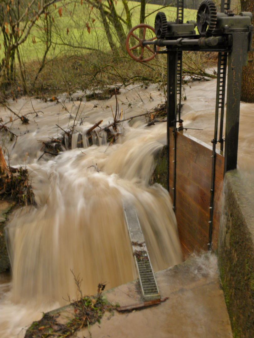 Wehr im Hochwasser