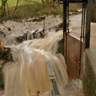 Wehr im Hochwasser