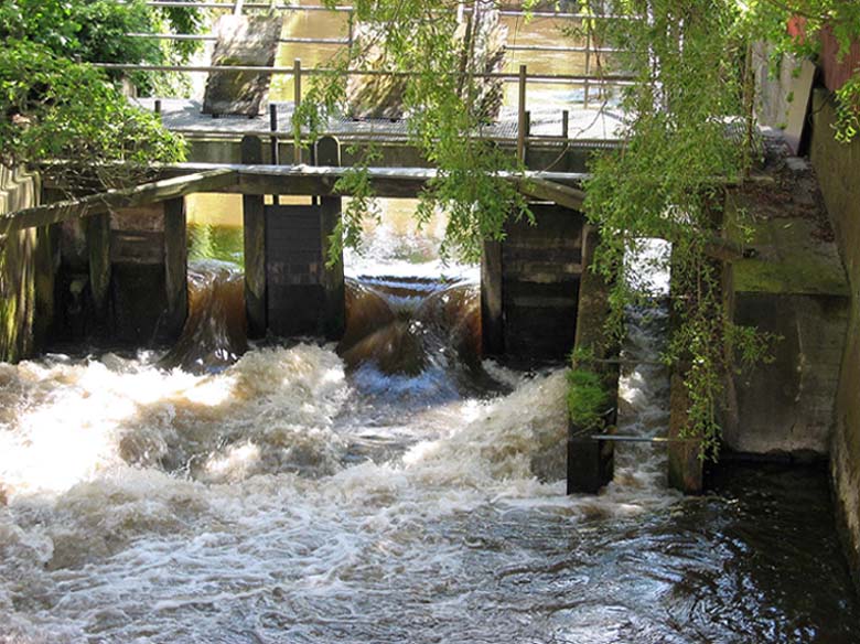 Wehr mit Fischtreppe