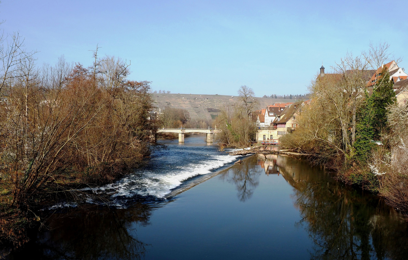 Wehrblick