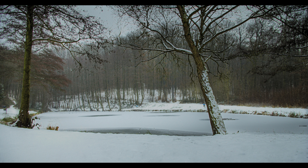 Wehrdener Weiher in Völklingen