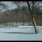 Wehrdener Weiher in Völklingen