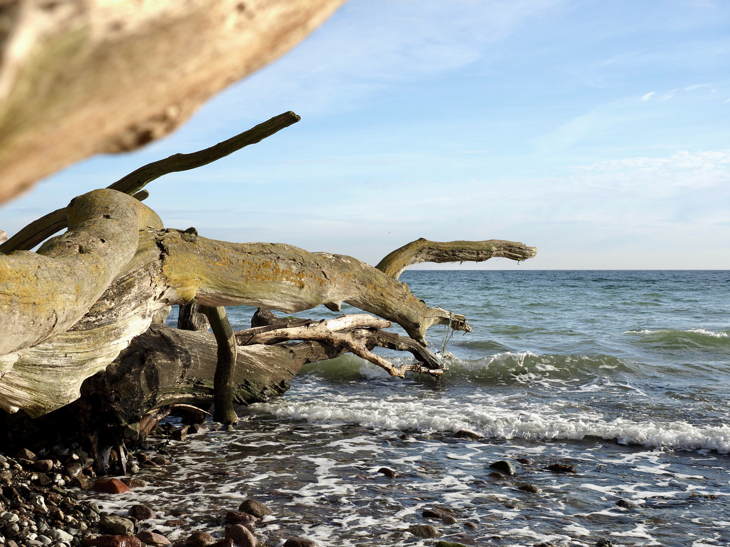 wehrhaft am meer