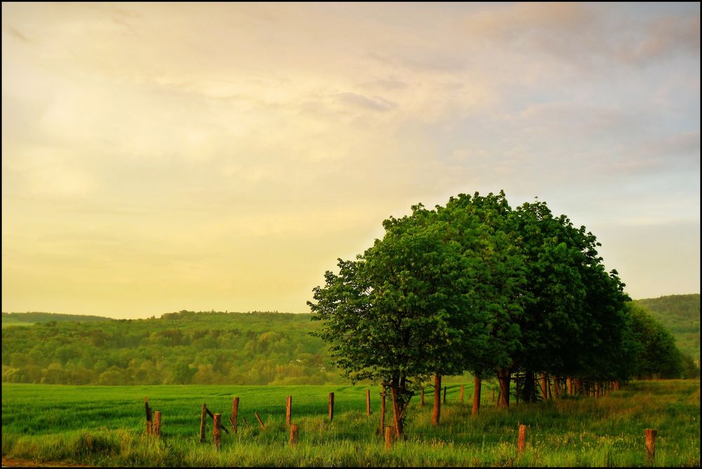 Wehrheim am Abend II