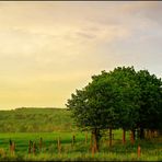 Wehrheim am Abend II