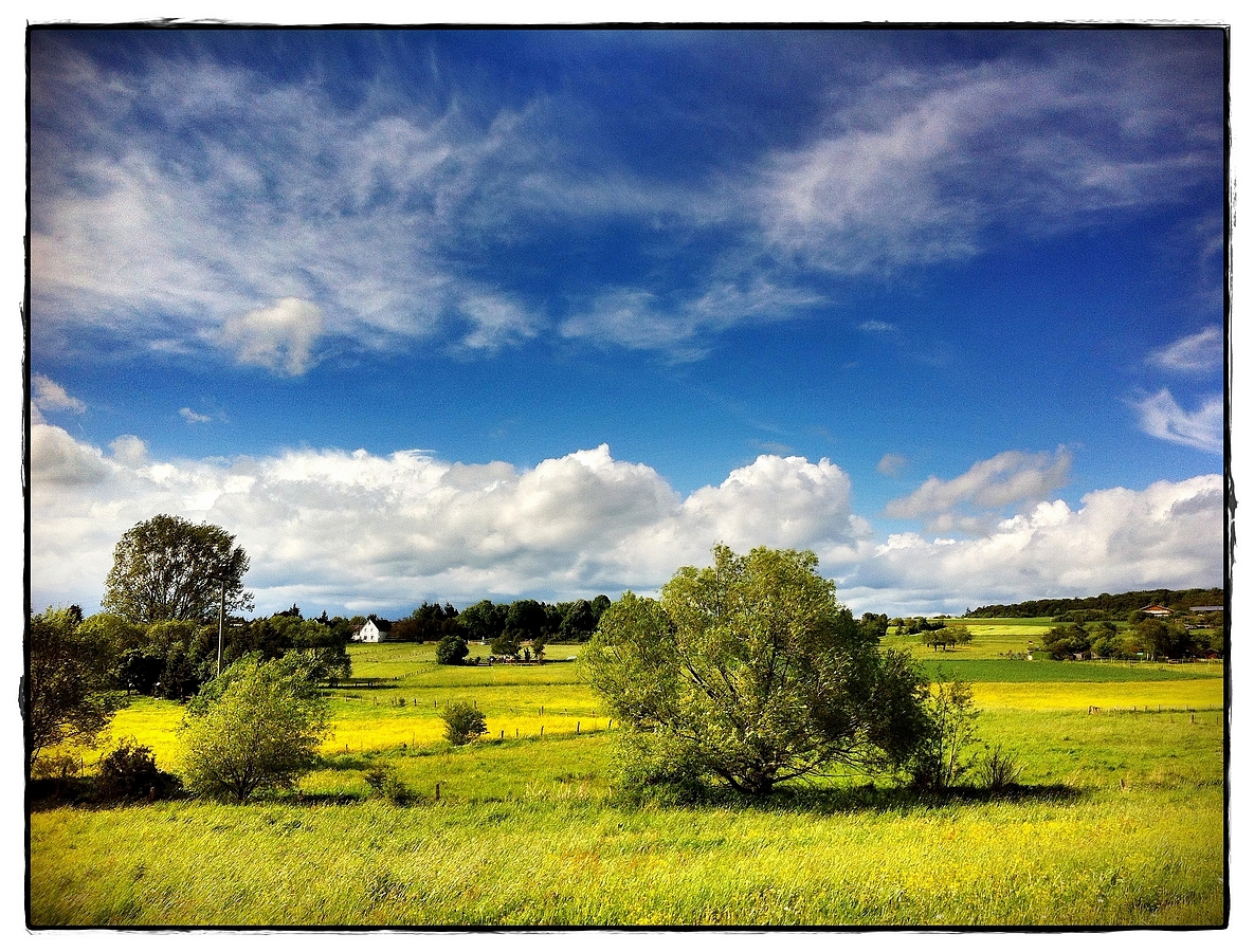 Wehrheimer Landschaft