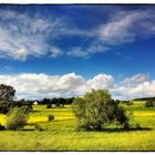 Wehrheimer Landschaft