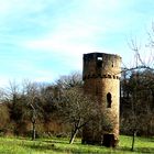  Wehrturm auf Streuobstwiese