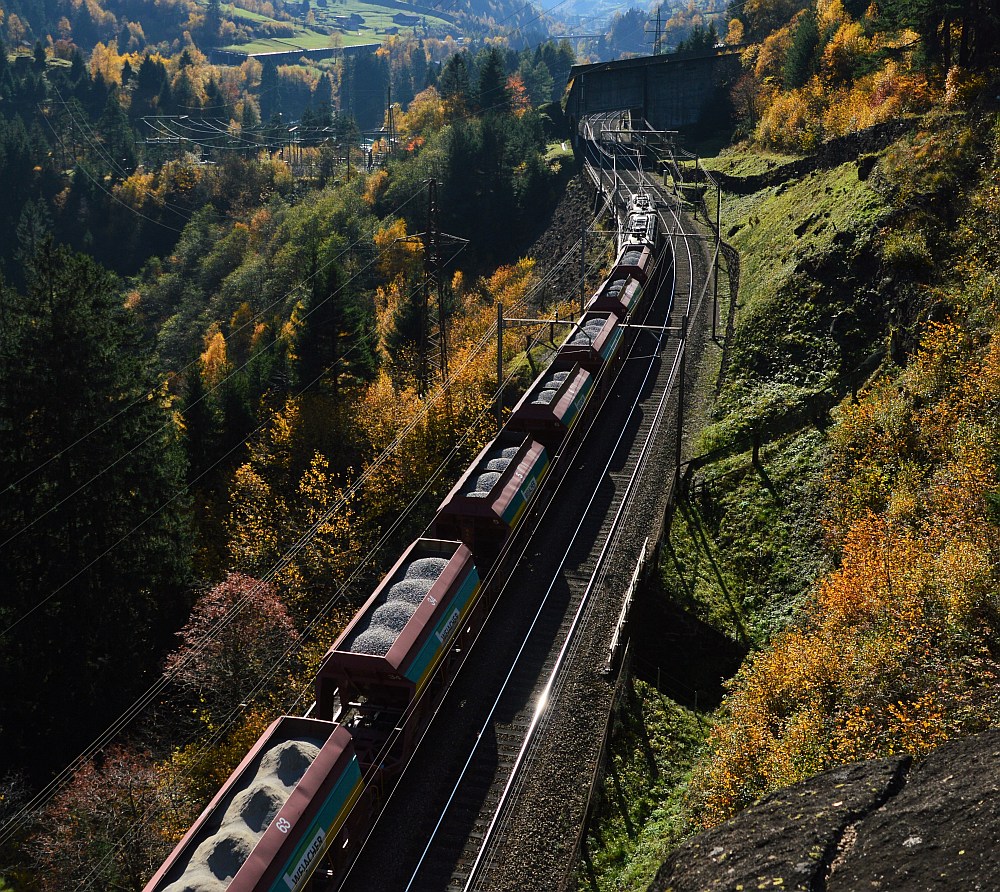 Weiacher Kies im Herbst