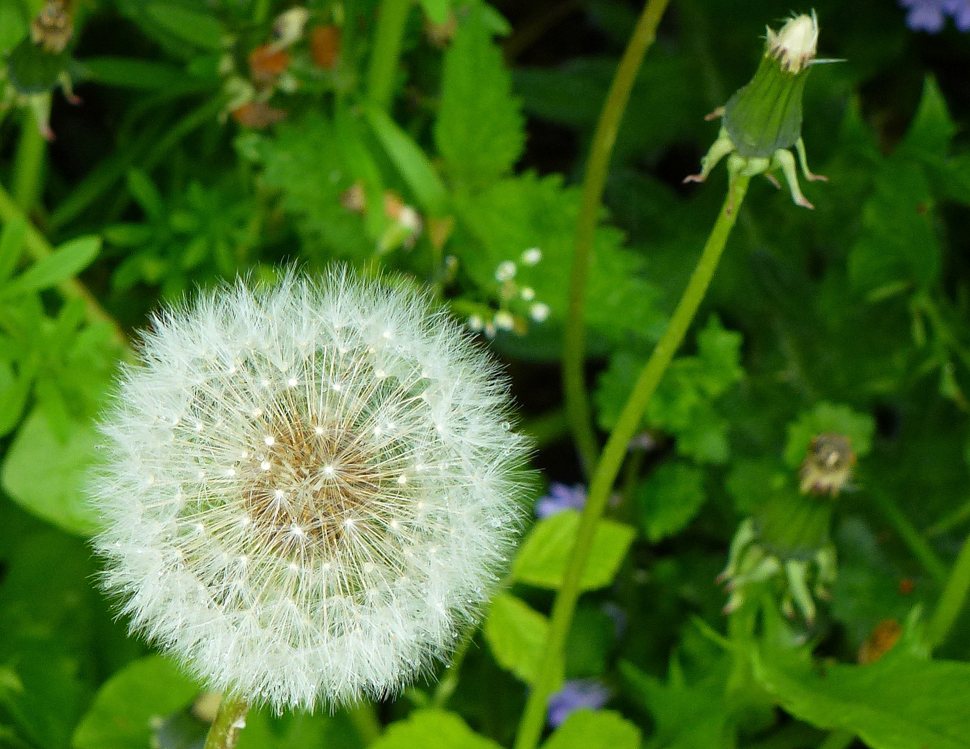 weich und Windempfindlich