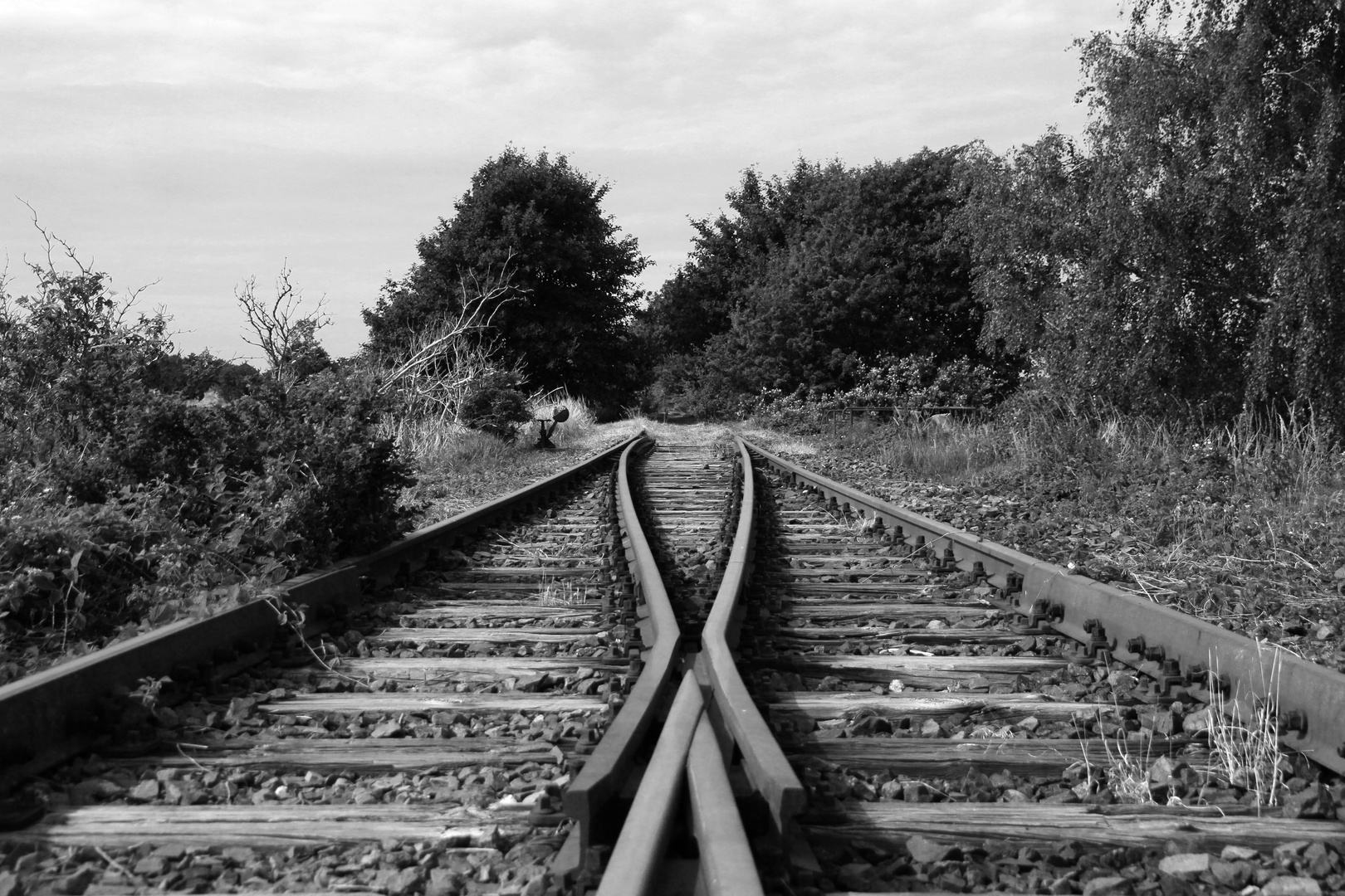 Weiche am Bahnhof Bresewitz