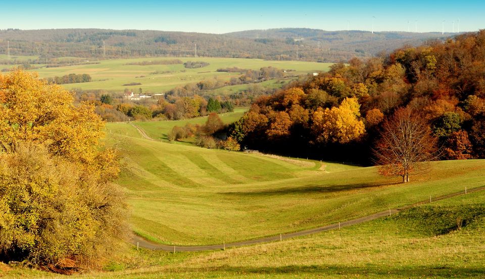 Weiche Bodenwellen,Berg und Tal.