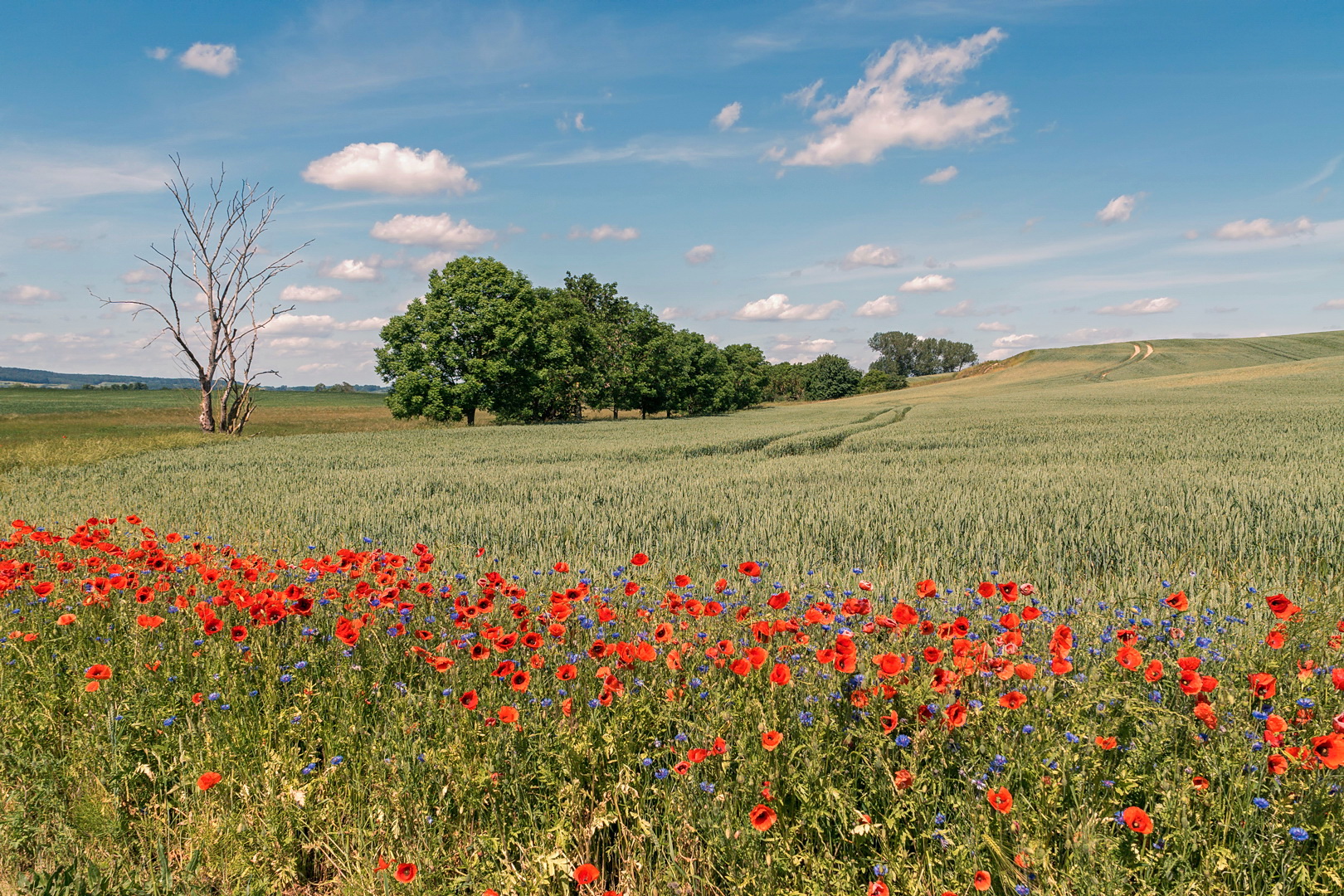 Weiche Landschaft