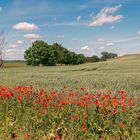 Weiche Landschaft