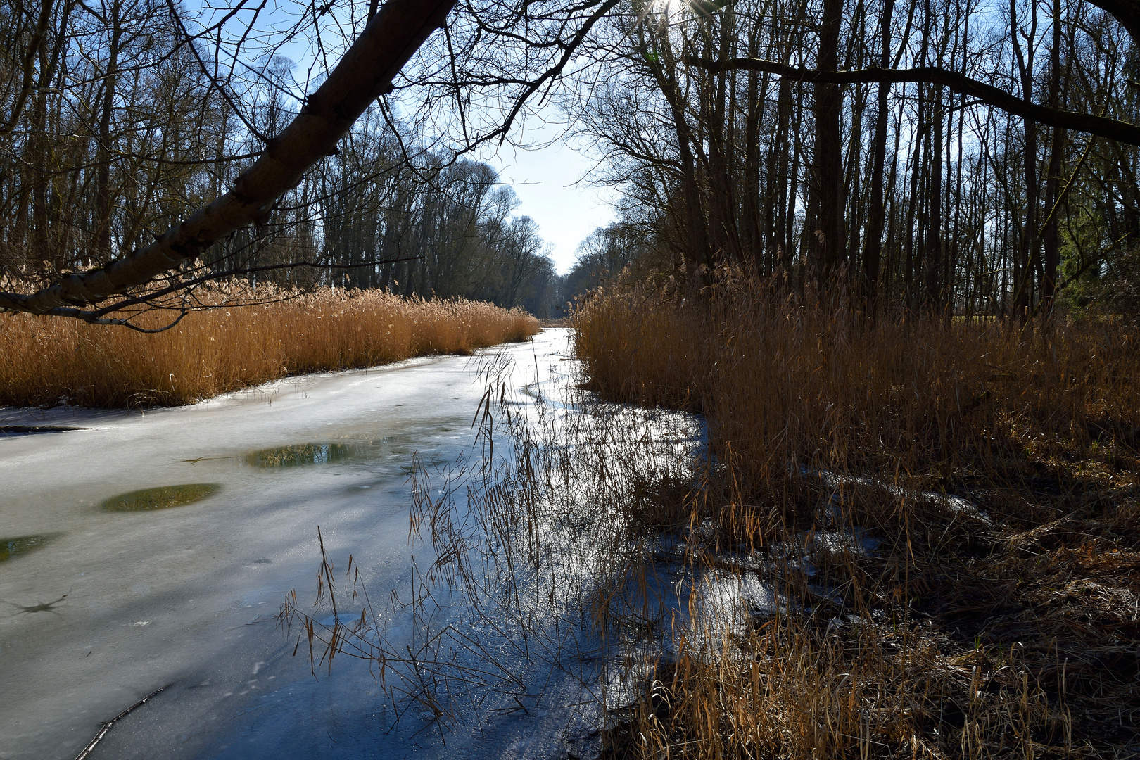 Weichender Winter