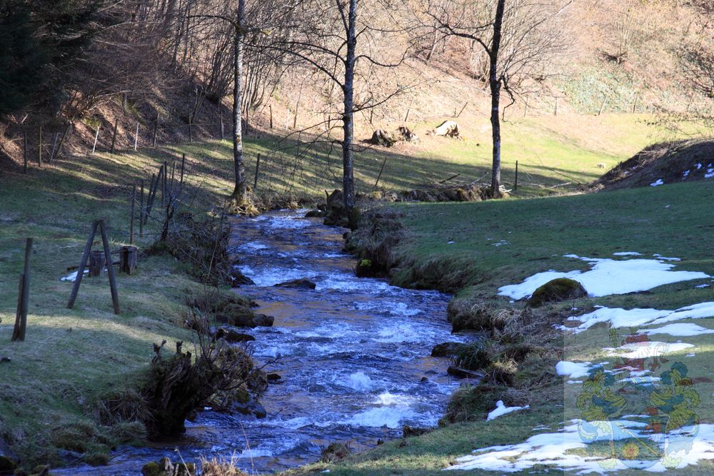 Weichender Winter im Kandertal