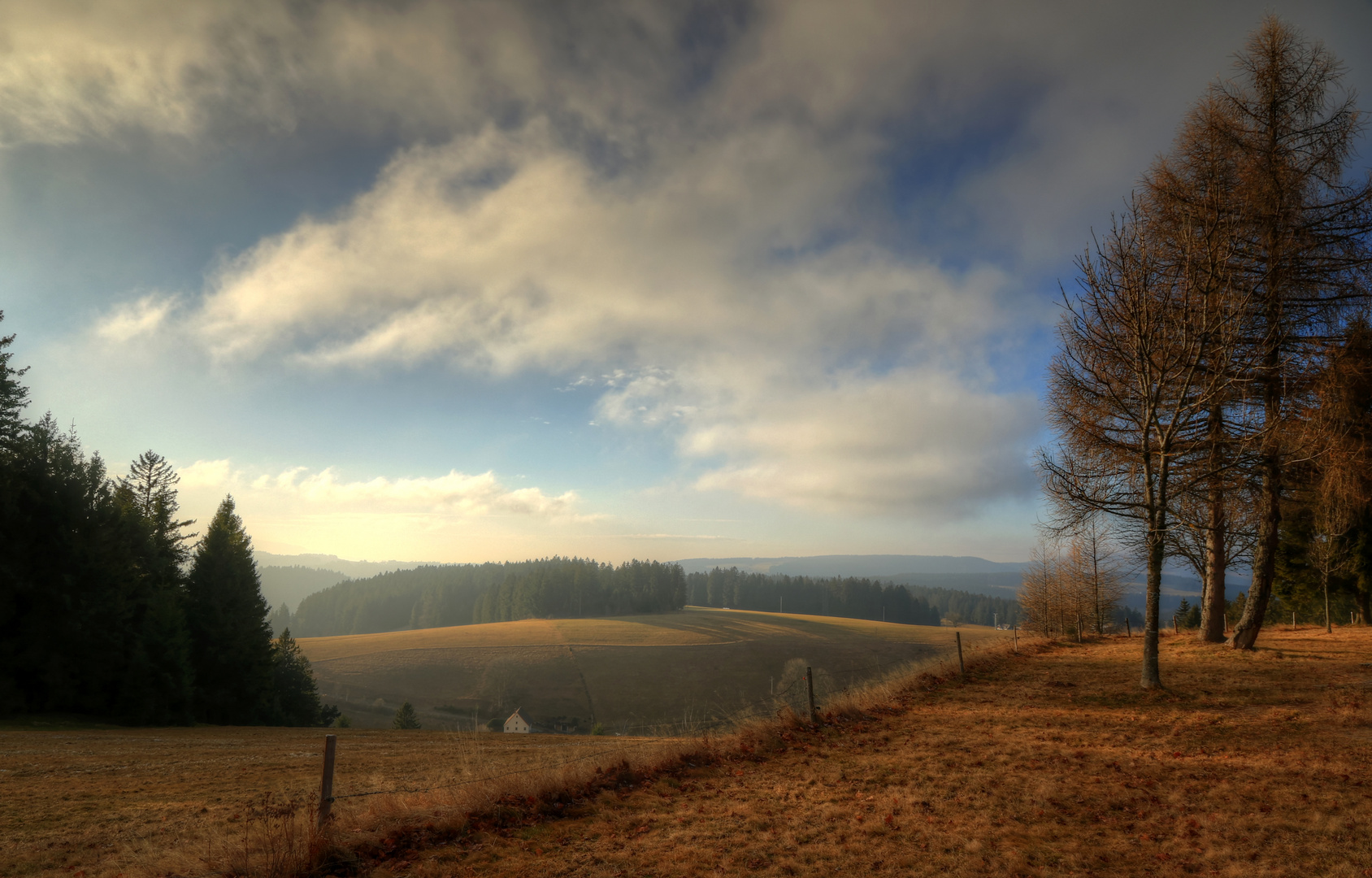 Weiches Dezemberlicht