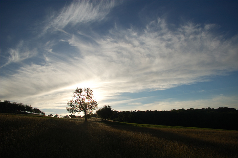 weiches Morgenlicht