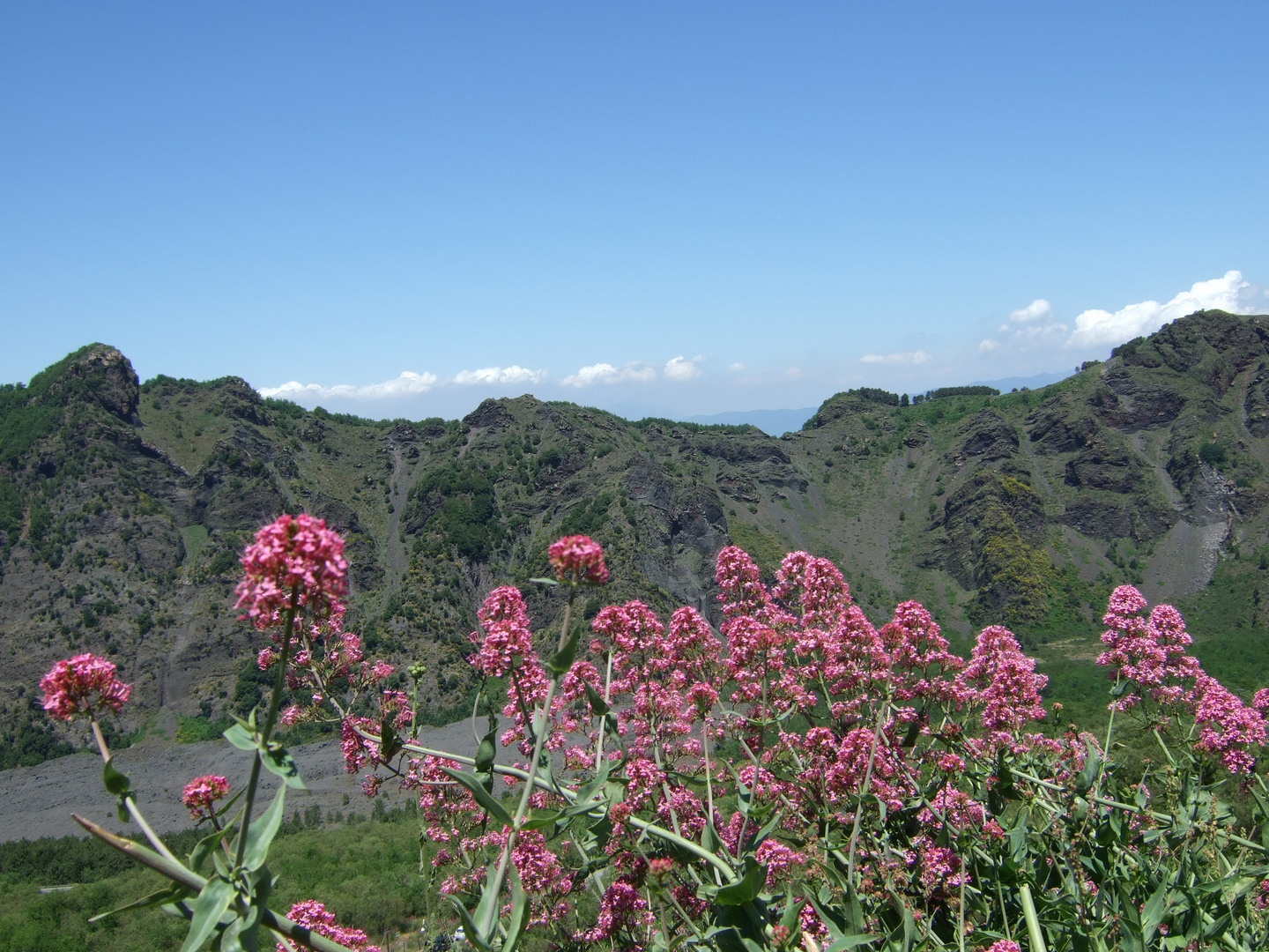 Weiches Rosa vor schroffem Berg