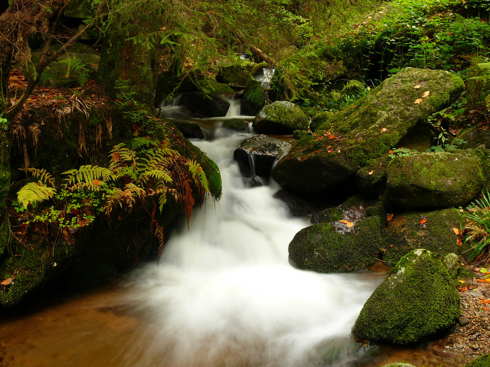 Weiches Wasser