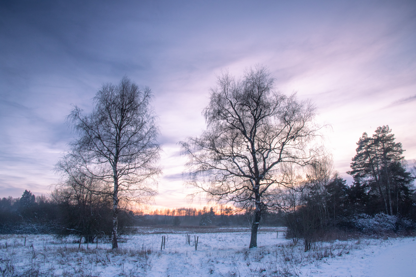 Weiches Winterlicht