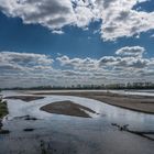 Weichsel im Frühling