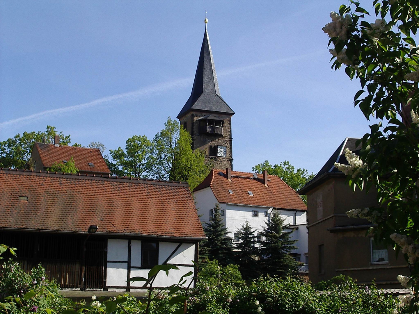 Weida Wiedenkirche