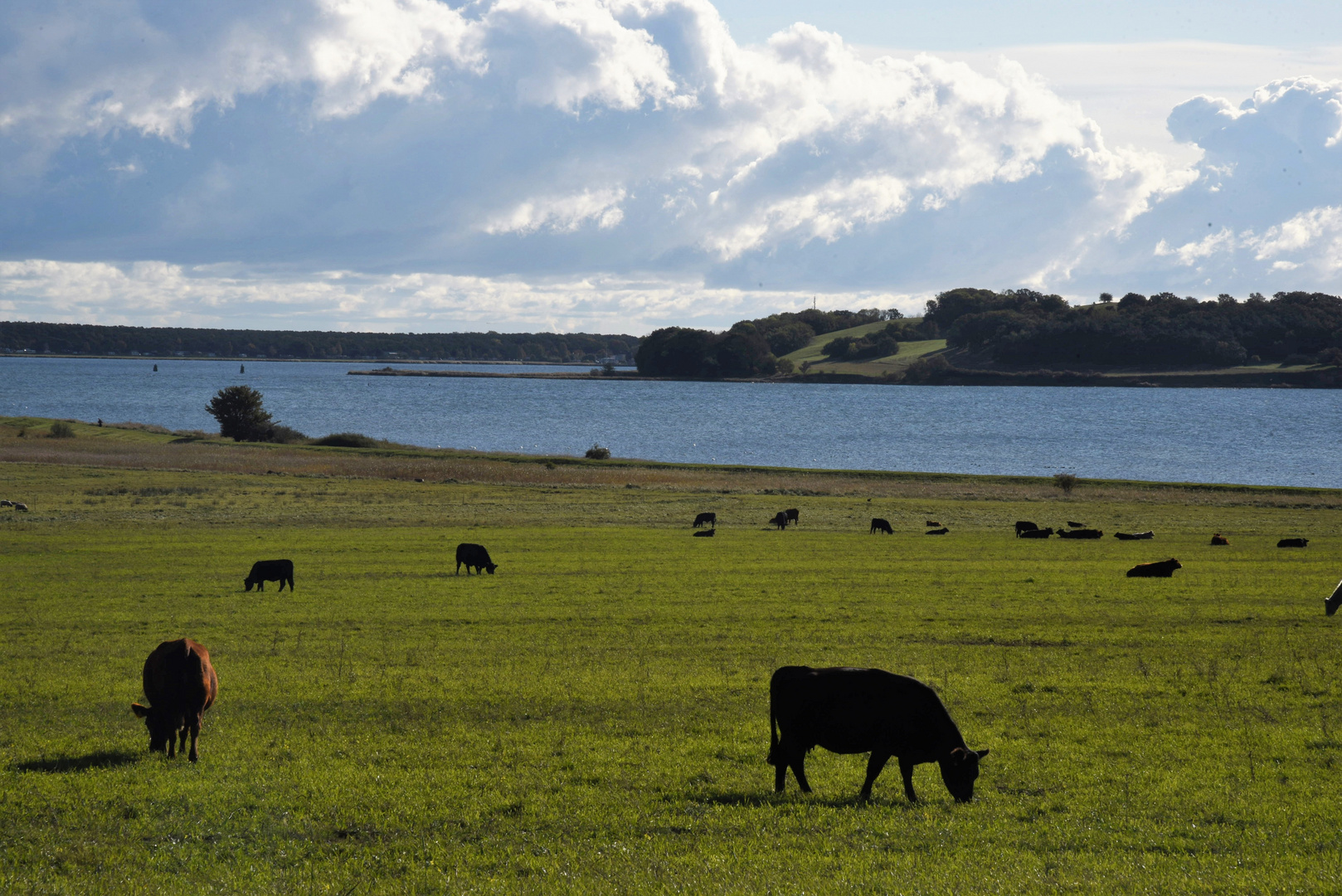 weide am bodden  