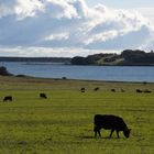 weide am bodden  