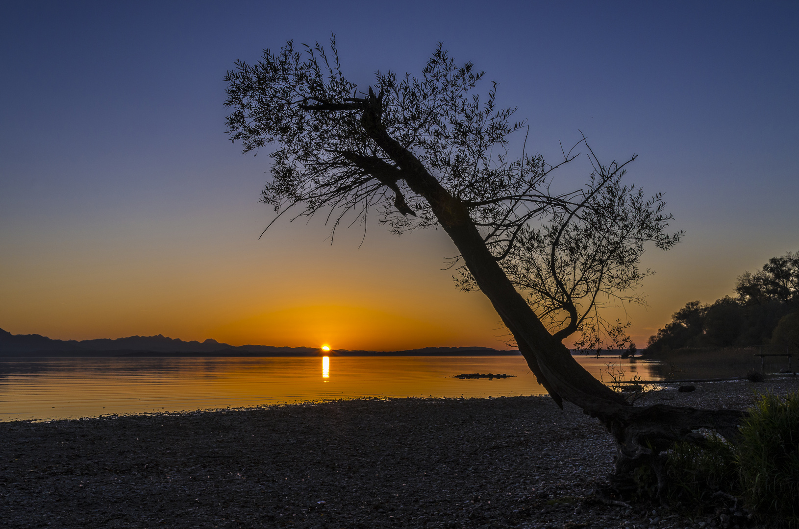 Weide am Chiemsee