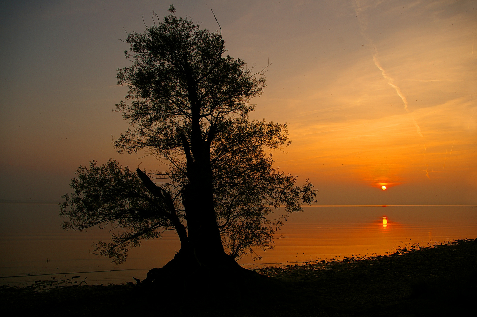 Weide am Chiemsee vor 14 Jahren