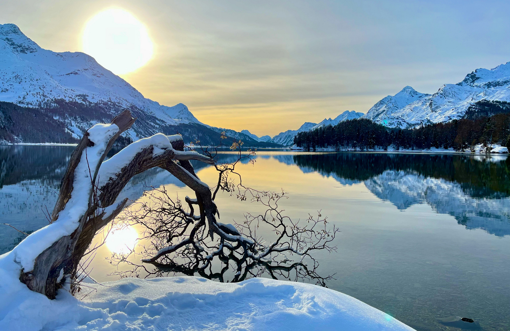 Weide am Silsersee, Engadin