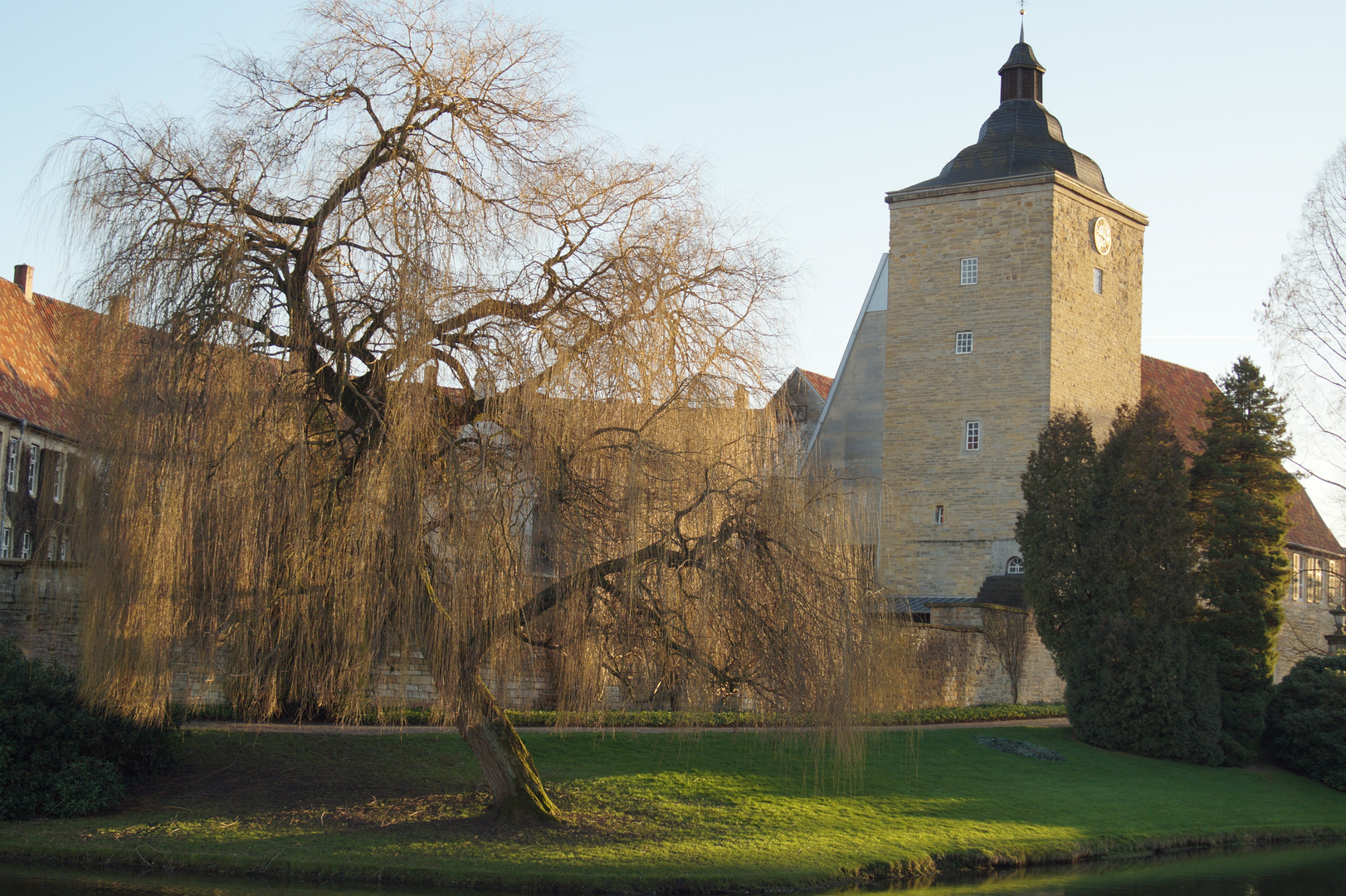 Weide im Abendlicht