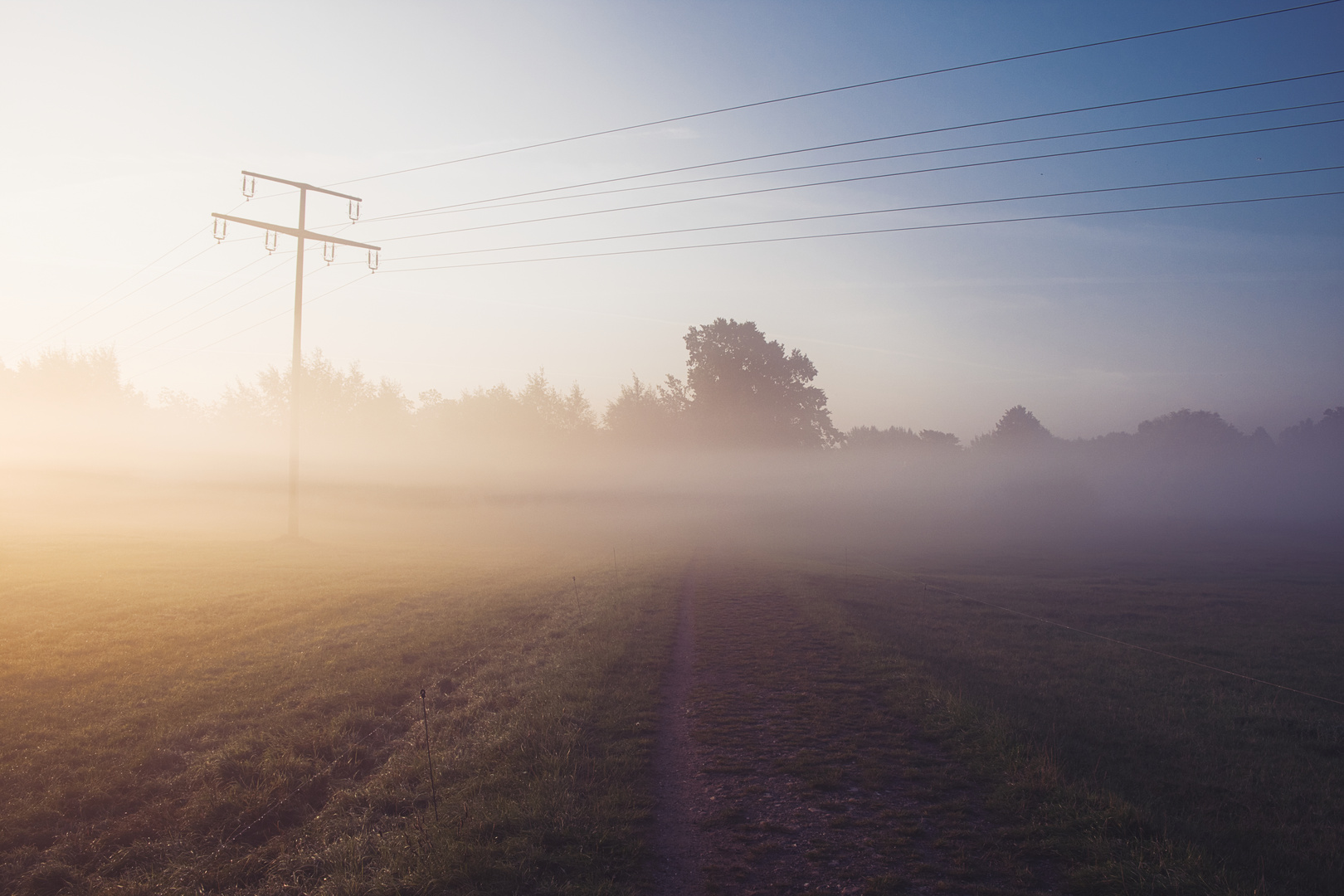 Weide im Nebel