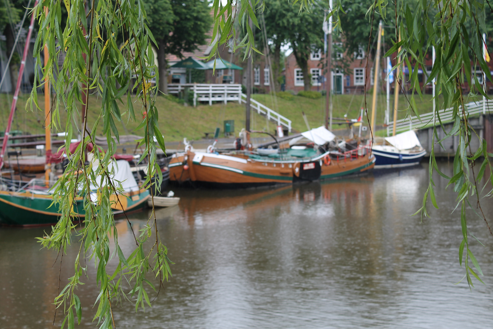 Weide in Carolinensiel