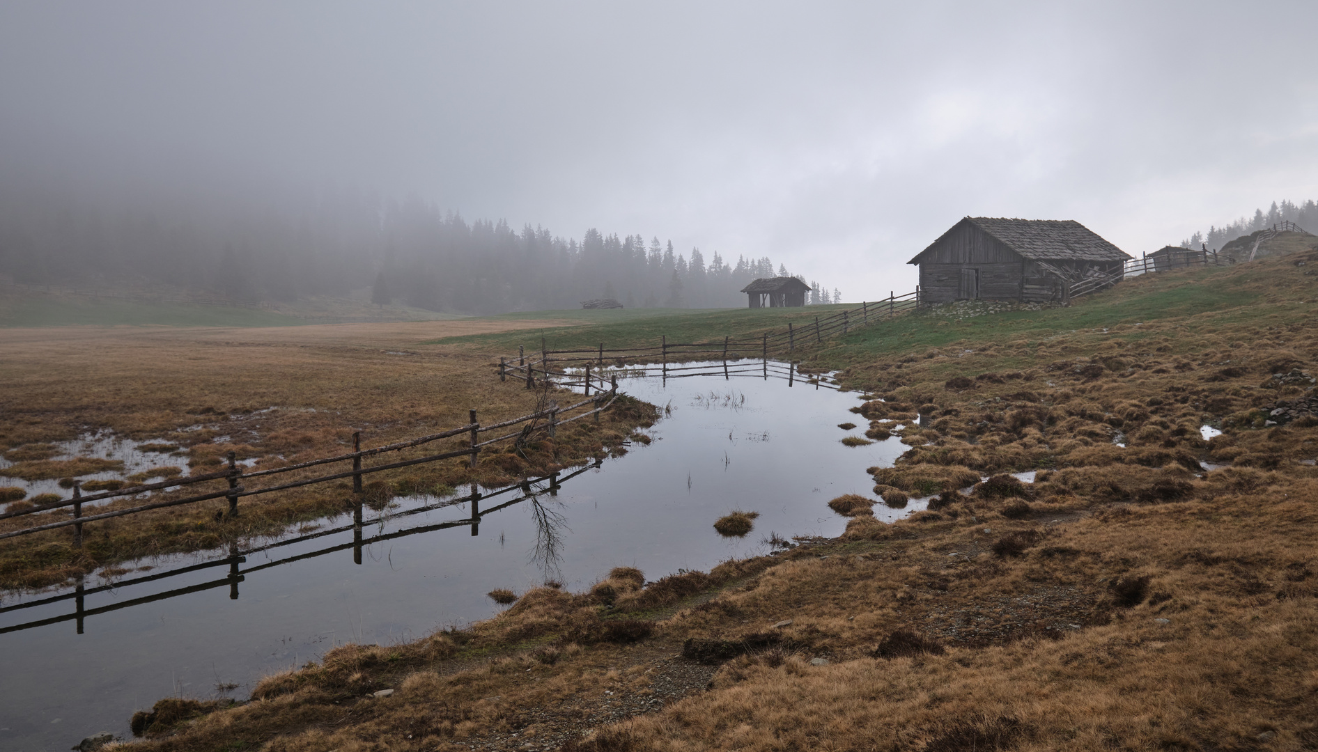 Weide Landschaft in Rodenecker Alm mit Nebel Stimmung