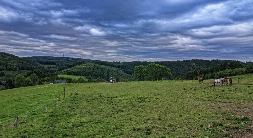 Weide mit Aussicht