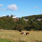 Weide mit Aussicht