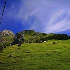 Weide oberhalb der Brunibahn, Engelberg, CH