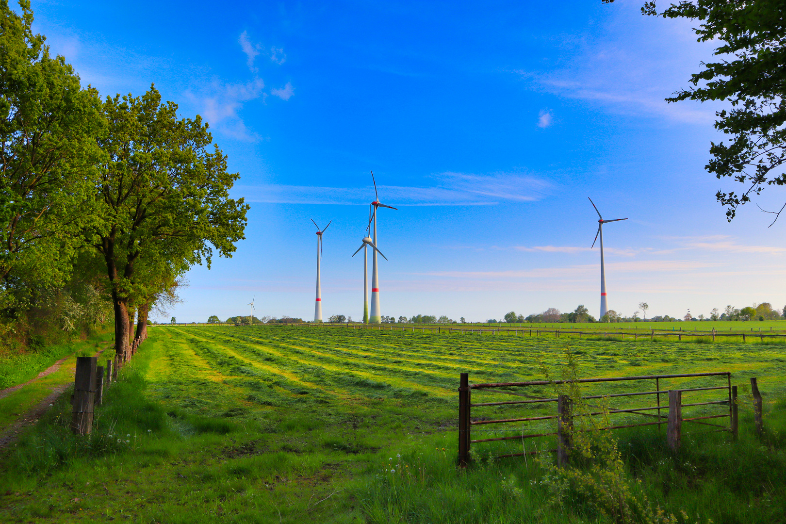 Weide zum Windpark