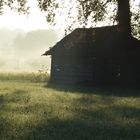 Weidehütte 