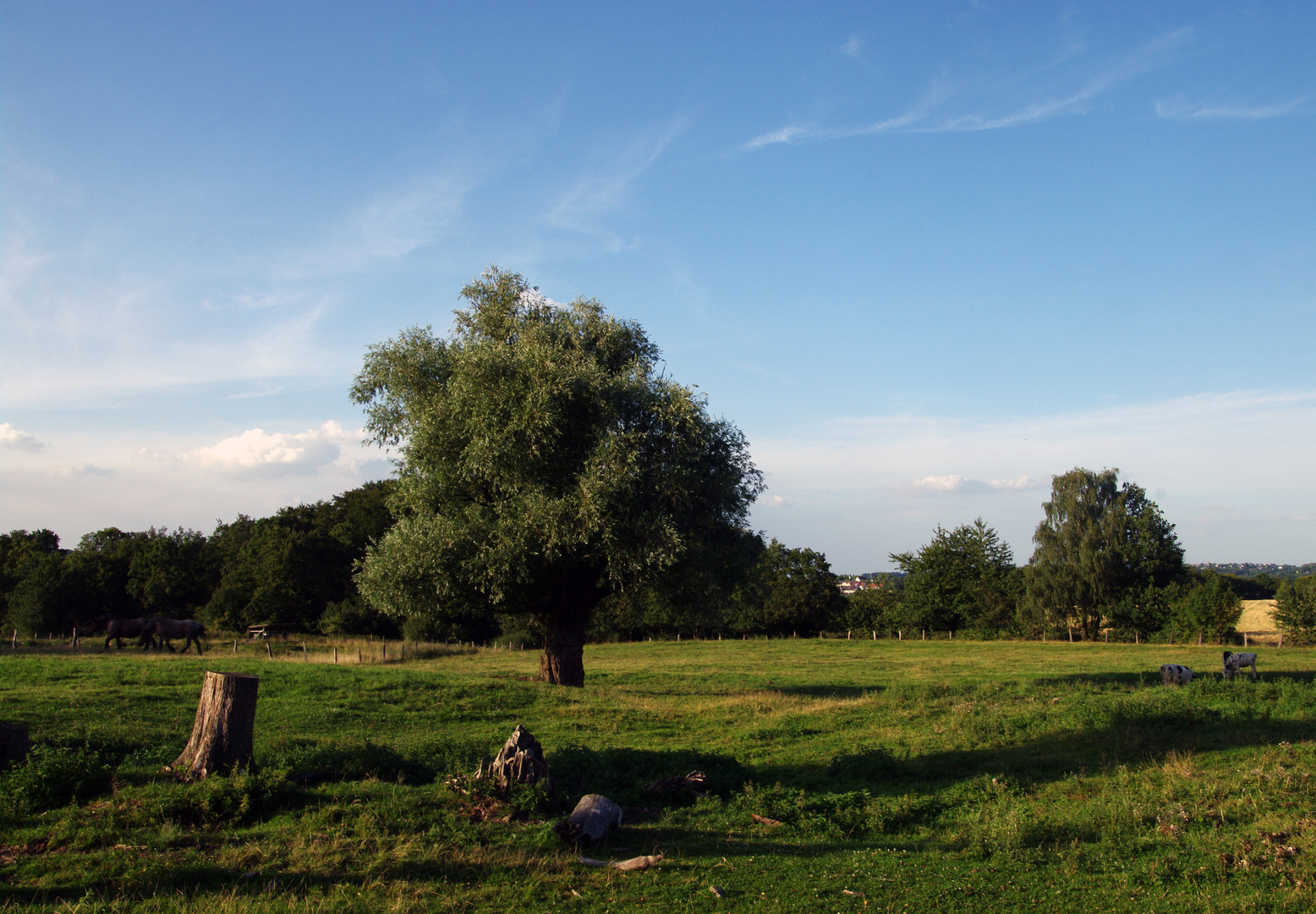 Weideland.... Foto & Bild | landschaft, Äcker, felder ...
