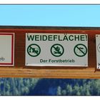 Weideland